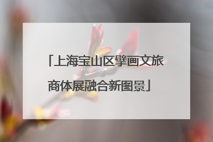 上海宝山区擘画文旅商体展融合新图景