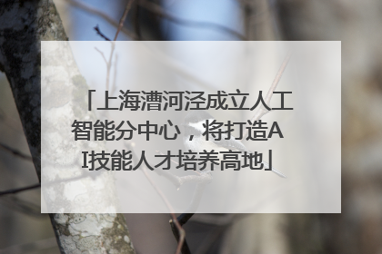 上海漕河泾成立人工智能分中心，将打造AI技能人才培养高地