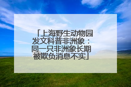上海野生动物园发文科普非洲象：同一只非洲象长期被欺负消息不实