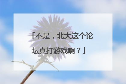 不是，北大这个论坛真打游戏啊？