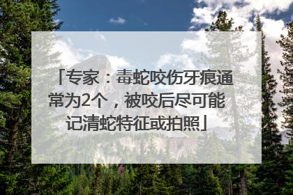 专家：毒蛇咬伤牙痕通常为2个，被咬后尽可能记清蛇特征或拍照