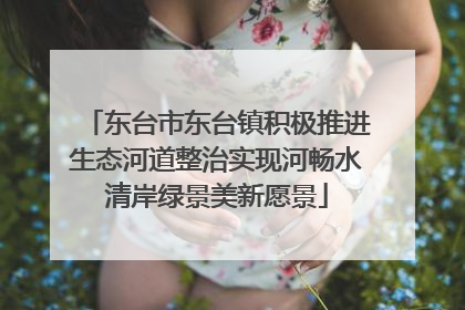 东台市东台镇积极推进生态河道整治实现河畅水清岸绿景美新愿景