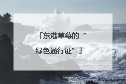 东港草莓的“绿色通行证”