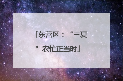 东营区：“三夏”农忙正当时