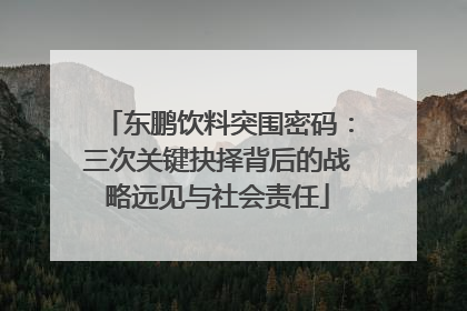 东鹏饮料突围密码：三次关键抉择背后的战略远见与社会责任