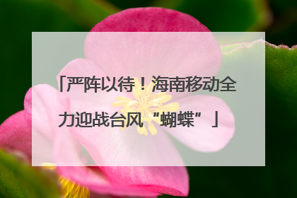 严阵以待！海南移动全力迎战台风“蝴蝶”