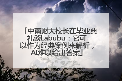 中南财大校长在毕业典礼谈Labubu：它可以作为经典案例来解析，AI难以给出答案