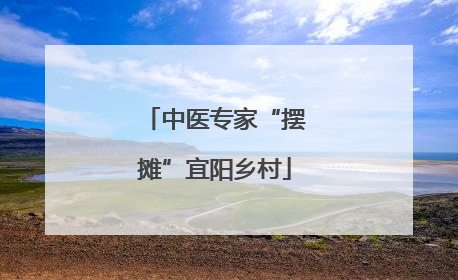 中医专家“摆摊”宜阳乡村