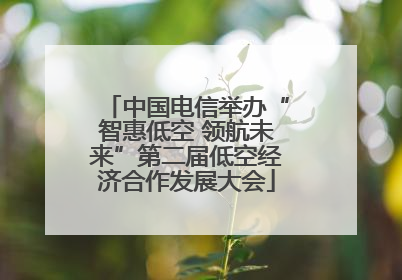 中国电信举办“智惠低空 领航未来”第二届低空经济合作发展大会