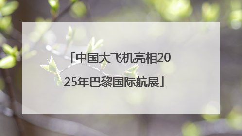 中国大飞机亮相2025年巴黎国际航展