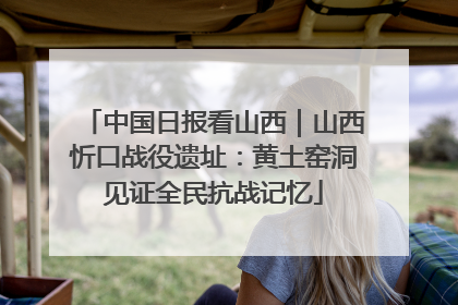 中国日报看山西｜山西忻口战役遗址：黄土窑洞见证全民抗战记忆