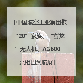 中国航空工业集团携“20”家族、“翼龙”无人机、AG600亮相巴黎航展
