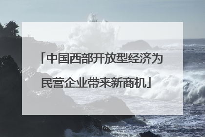 中国西部开放型经济为民营企业带来新商机
