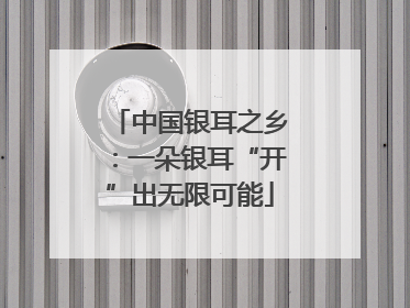 中国银耳之乡：一朵银耳“开”出无限可能