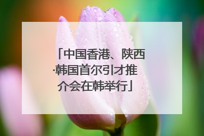 中国香港、陕西·韩国首尔引才推介会在韩举行