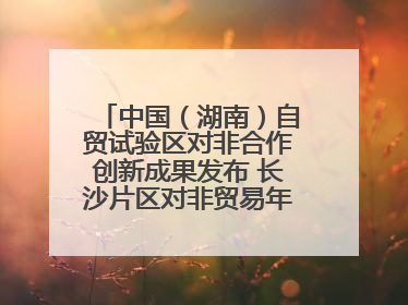 中国（湖南）自贸试验区对非合作创新成果发布 长沙片区对非贸易年均增长141%