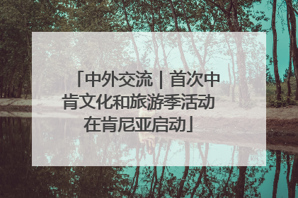 中外交流｜首次中肯文化和旅游季活动在肯尼亚启动