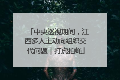 中央巡视期间，江西多人主动向组织交代问题｜打虎拍蝇