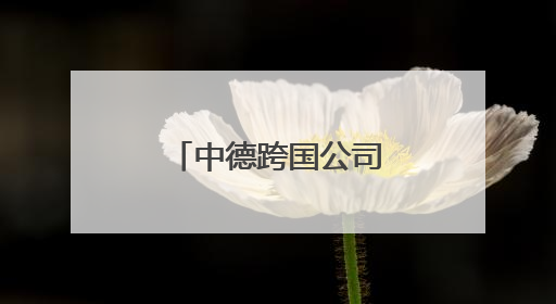 中德跨国公司发展交流论坛在青岛举行