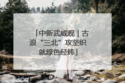 中新武威观｜古浪“三北”攻坚织就绿色经纬