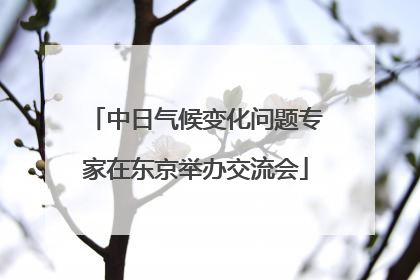 中日气候变化问题专家在东京举办交流会