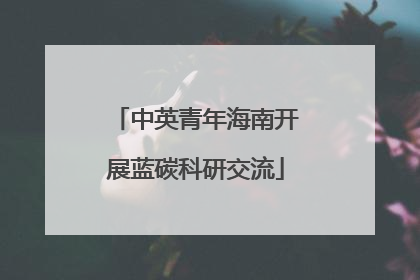 中英青年海南开展蓝碳科研交流