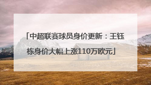 中超联赛球员身价更新：王钰栋身价大幅上涨110万欧元