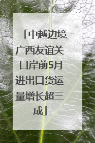 中越边境广西友谊关口岸前5月进出口货运量增长超三成