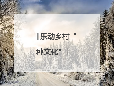 乐动乡村“种文化”