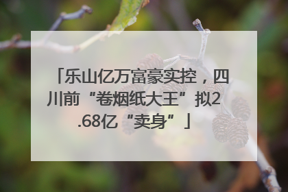 乐山亿万富豪实控，四川前“卷烟纸大王”拟2.68亿“卖身”