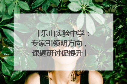 乐山实验中学：专家引领明方向，课题研讨促提升