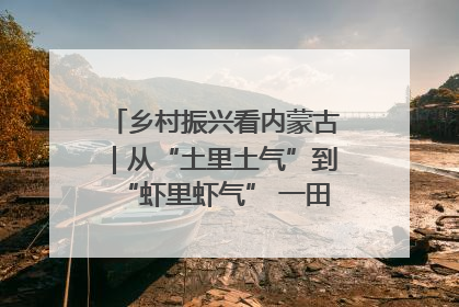 乡村振兴看内蒙古｜从“土里土气”到“虾里虾气” 一田双收模式火出圈