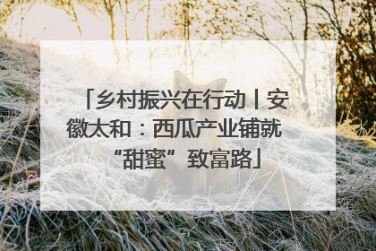 乡村振兴在行动丨安徽太和：西瓜产业铺就“甜蜜”致富路