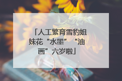 人工繁育雪豹姐妹花“水墨”“油画”六岁啦