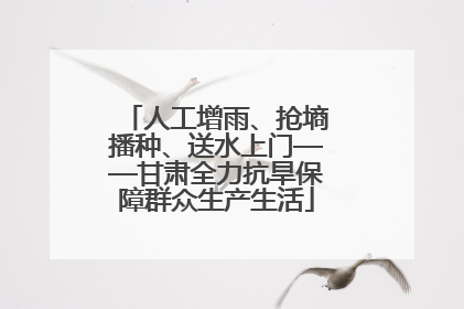人工增雨、抢墒播种、送水上门——甘肃全力抗旱保障群众生产生活