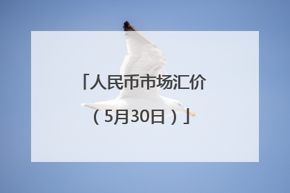 人民币市场汇价（5月30日）
