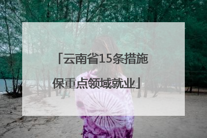 云南省15条措施保重点领域就业