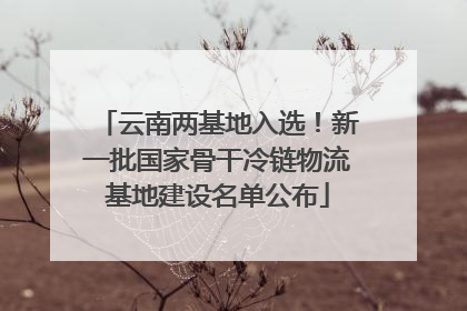 云南两基地入选！新一批国家骨干冷链物流基地建设名单公布