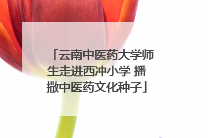 云南中医药大学师生走进西冲小学 播撒中医药文化种子