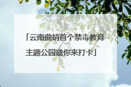 云南曲靖首个禁毒教育主题公园邀你来打卡