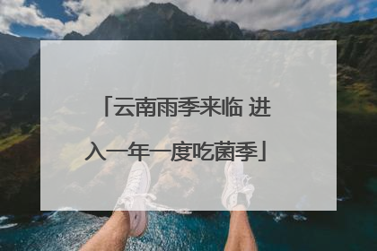 云南雨季来临 进入一年一度吃菌季