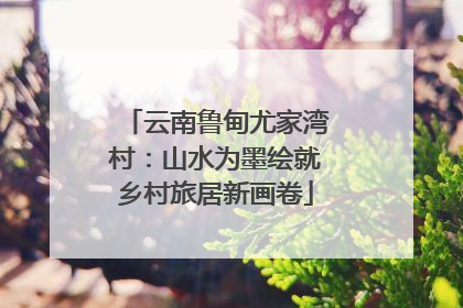 云南鲁甸尤家湾村：山水为墨绘就乡村旅居新画卷