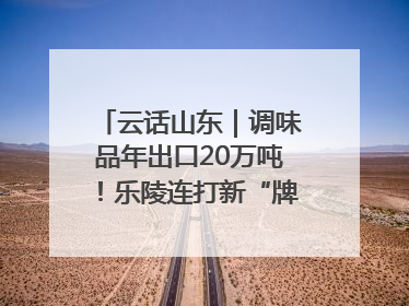 云话山东｜调味品年出口20万吨！乐陵连打新“牌”助力企业出海