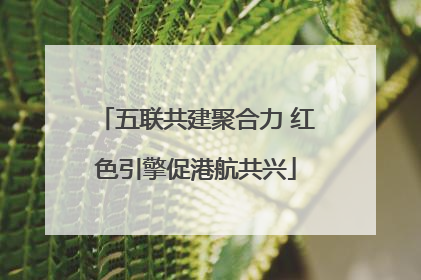 五联共建聚合力 红色引擎促港航共兴