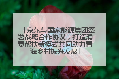 京东与国家能源集团签署战略合作协议，打造消费帮扶新模式共同助力青海乡村振兴发展