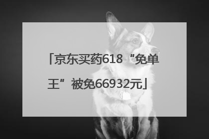 京东买药618“免单王”被免66932元