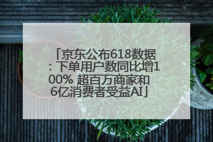京东公布618数据：下单用户数同比增100% 超百万商家和6亿消费者受益AI