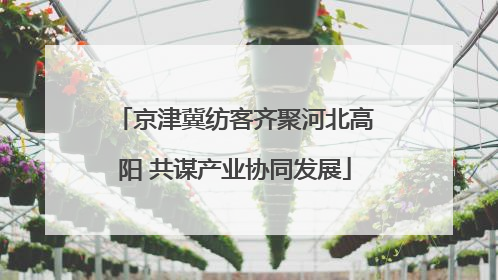 京津冀纺客齐聚河北高阳 共谋产业协同发展
