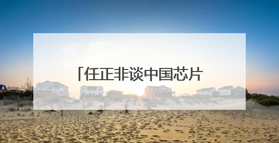 任正非谈中国芯片，外媒争相解读