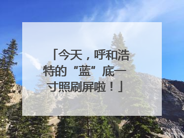 今天，呼和浩特的“蓝”底一寸照刷屏啦！